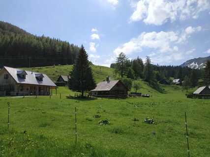 Bild 12