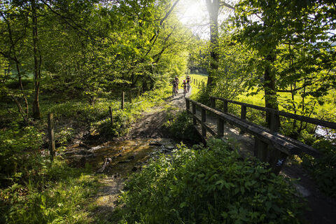 Familie radelt durch Wald über schmalen Weg mit Brücke