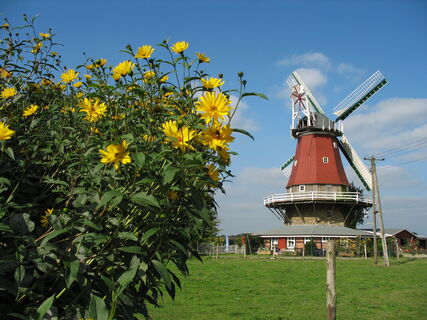 Everdings Mühle in Groß Mimmelage
