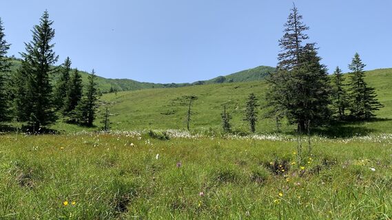 Foto von Mandi_3000 entlang der Tour
