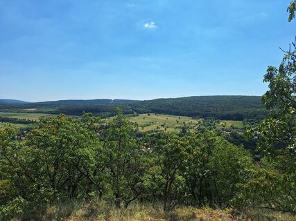 Fotografie z Márk Erdei na trase