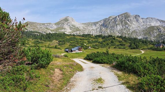 Photo de Anna Wilding le long du parcours