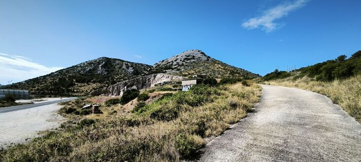 Fotografia z Boris na trase