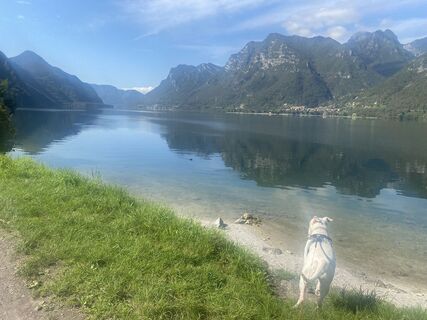 Fotografia z Barbara Schwaerzler na trase