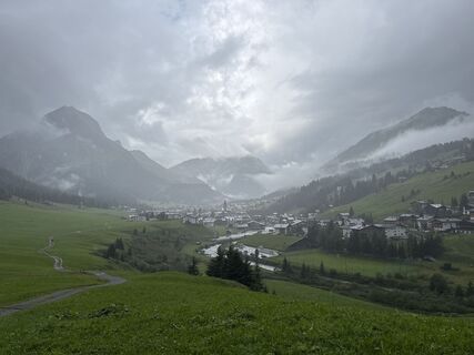 Foto von Grizzli entlang der Tour
