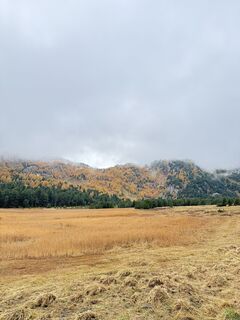 Fotografia z Marisa scafetta na trase