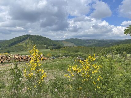 Foto von Olaf Mönig entlang der Tour