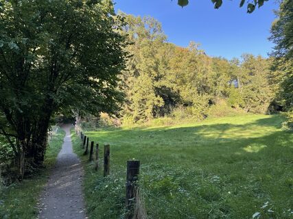 Fotografia z Thorsten Schulze na trase