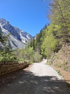 Foto von Miha Gros entlang der Tour