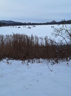 Foto de Mimi a lo largo del recorrido