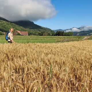 Wir wandern durch Wiesen- und Ackerflächen