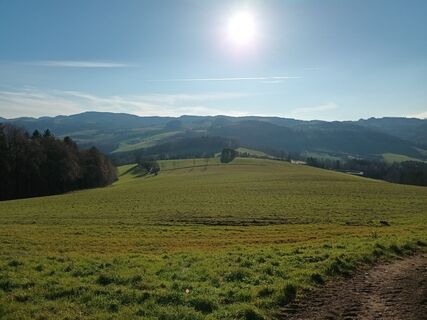 Foto von Edero entlang der Tour