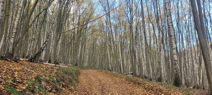 Fotografija s spletne strani Werner Spitzer 1 na poti