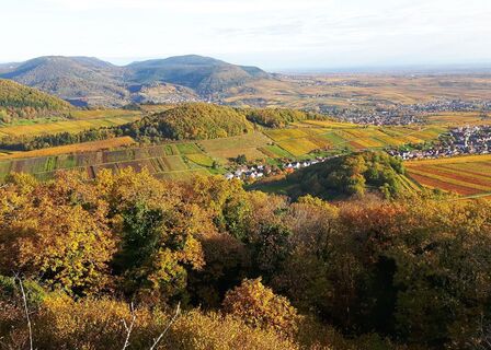 Aussicht von Neukastel über Ranschbach im Herbst