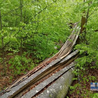 NWKW_II_Tag08_Urwald_Zofin