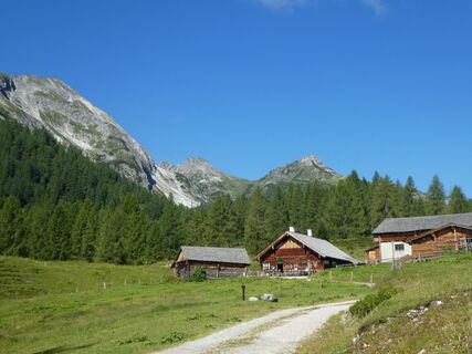 Tauernkarleitenalm mit Steinfeldspitze links