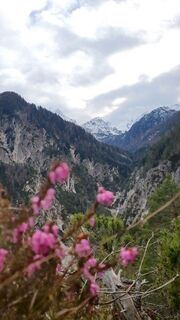 Foto de Anica varga a lo largo del recorrido