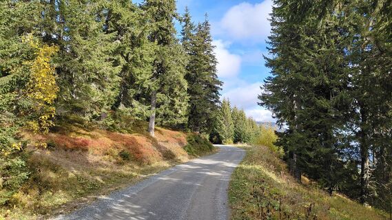 Foto von Wolfgang Arlic 1 entlang der Tour