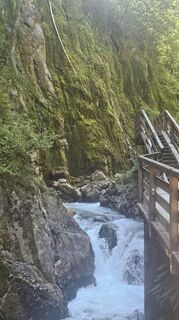 Foto de Boba Weishaar a lo largo del recorrido