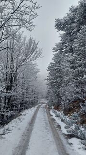 Fotografie z Karin Svozil na trase
