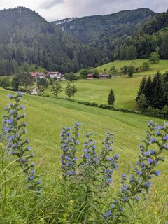 Foto von Andrea entlang der Tour