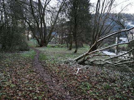 Ruine Waldeck-Trail mit Aussicht