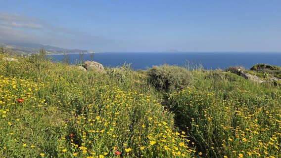 Zdjęcie z Katja Senkel wzdłuż trasy