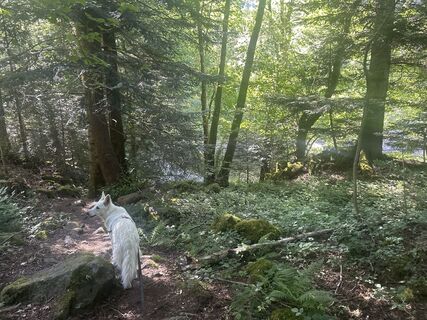 Foto von Caroline Ozog-Orzegowski entlang der Tour