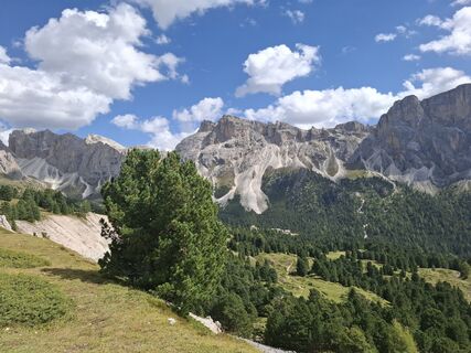 Foto von Walter Dintl Sen entlang der Tour
