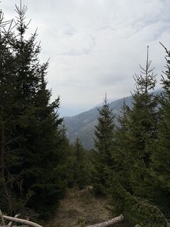 Fotografia z Mandy Friedrich na trase