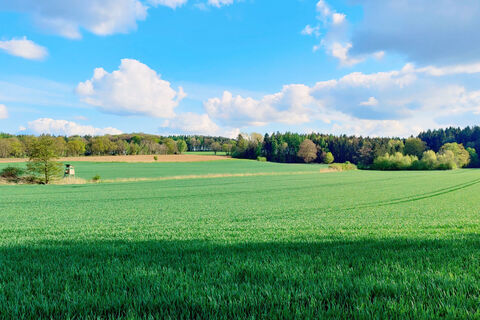 Weitblick über Acker- und Waldlandschaft bei Addenstorf