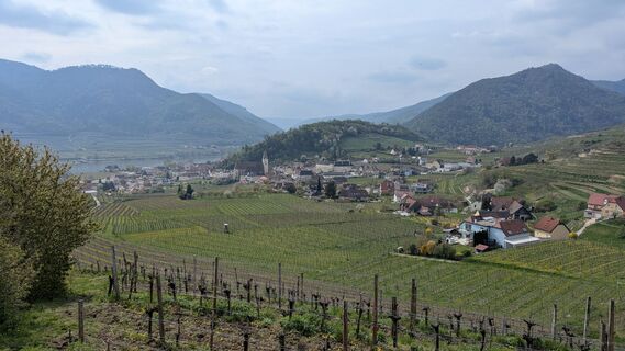 Foto de Edero a lo largo del recorrido