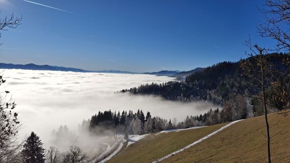 Foto von Monika Wirth entlang der Tour