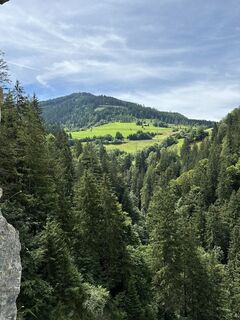 Photo de SBasti_88 le long du parcours