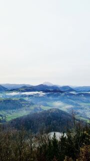 Fotografija s spletne strani Elisabeth Rossa na poti