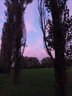 Foto de Aner a lo largo del recorrido