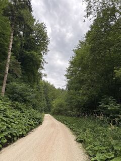 Photo de Heinz Sperl le long du parcours