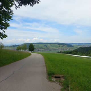 Foto de mosi mönä a lo largo del recorrido