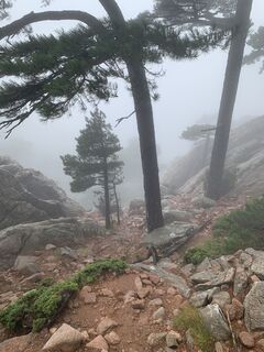 Fotografia z Jako Koel na trase