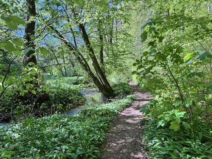 Fotografija s spletne strani NaJa na poti
