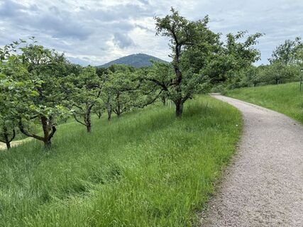 Fotografija s spletne strani Kerten Millardo na poti