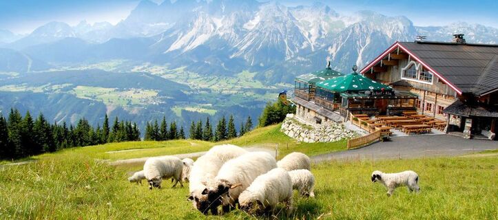 Bike & Hike Station Planai