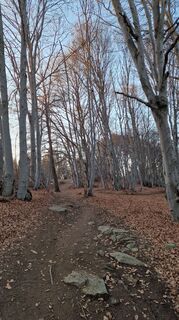 Foto van Fabrizi Mellano langs de tour