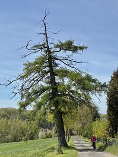 Fotografija s spletne strani berg-wanderer na poti