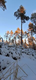 Foto de Deutsch Margit a lo largo del recorrido