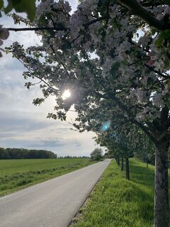 Foto von Thomas Clemens entlang der Tour