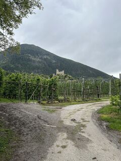 Foto från Peter Schäfer under resans gång