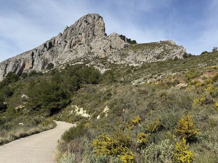 Fotografia z Heribert Hofbauer na trase