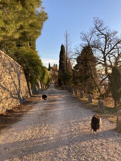 Fotografie de la Florian Gerl de-a lungul turului