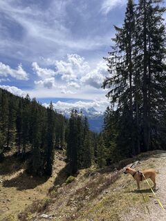 Foto von Peter Schäfer entlang der Tour